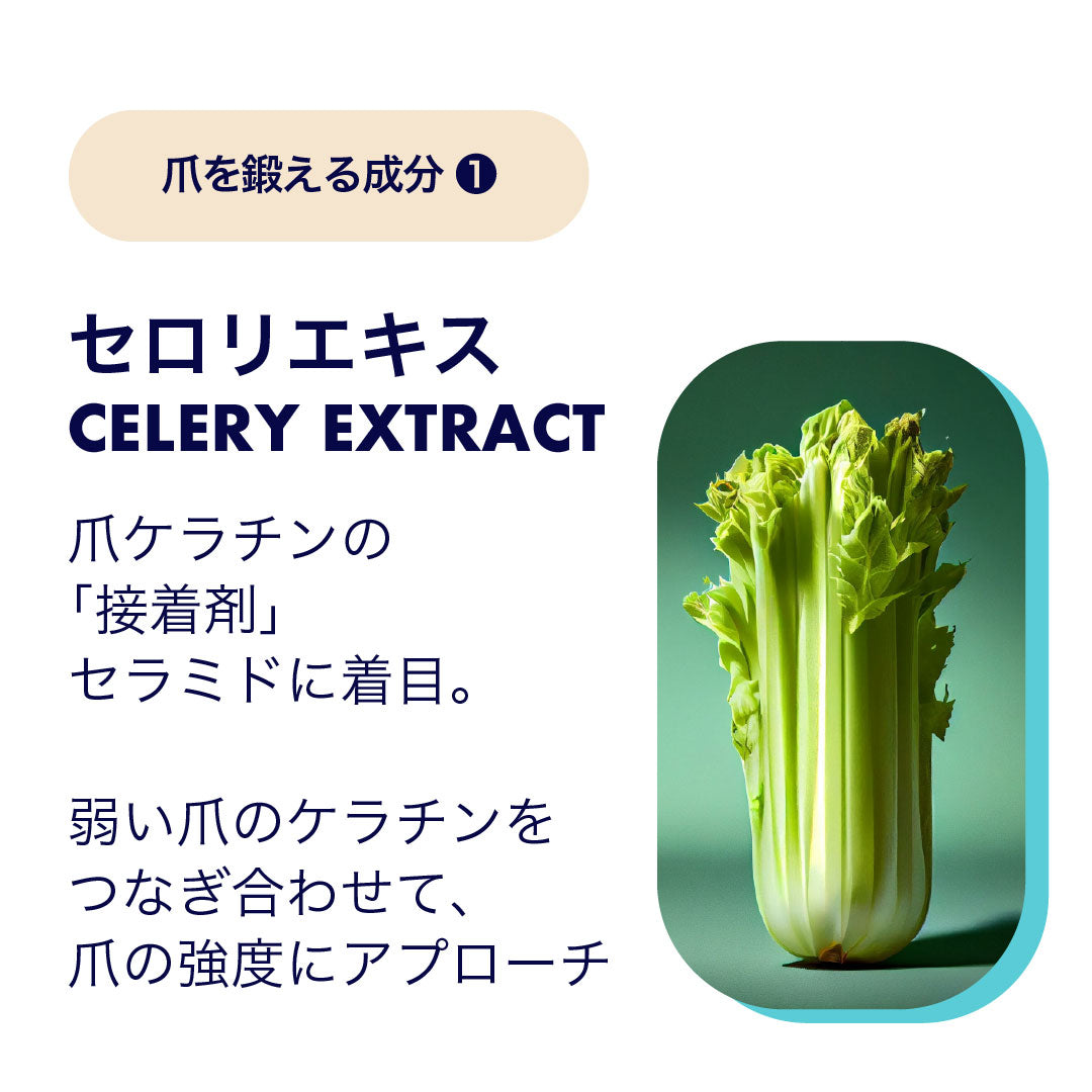 ネイルハードナー エクストラ ストロング