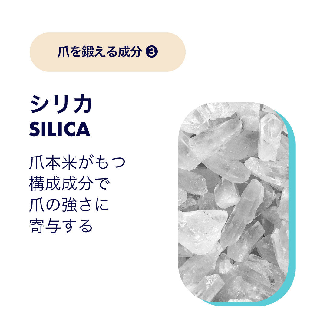 ネイルハードナー エクストラ ストロング