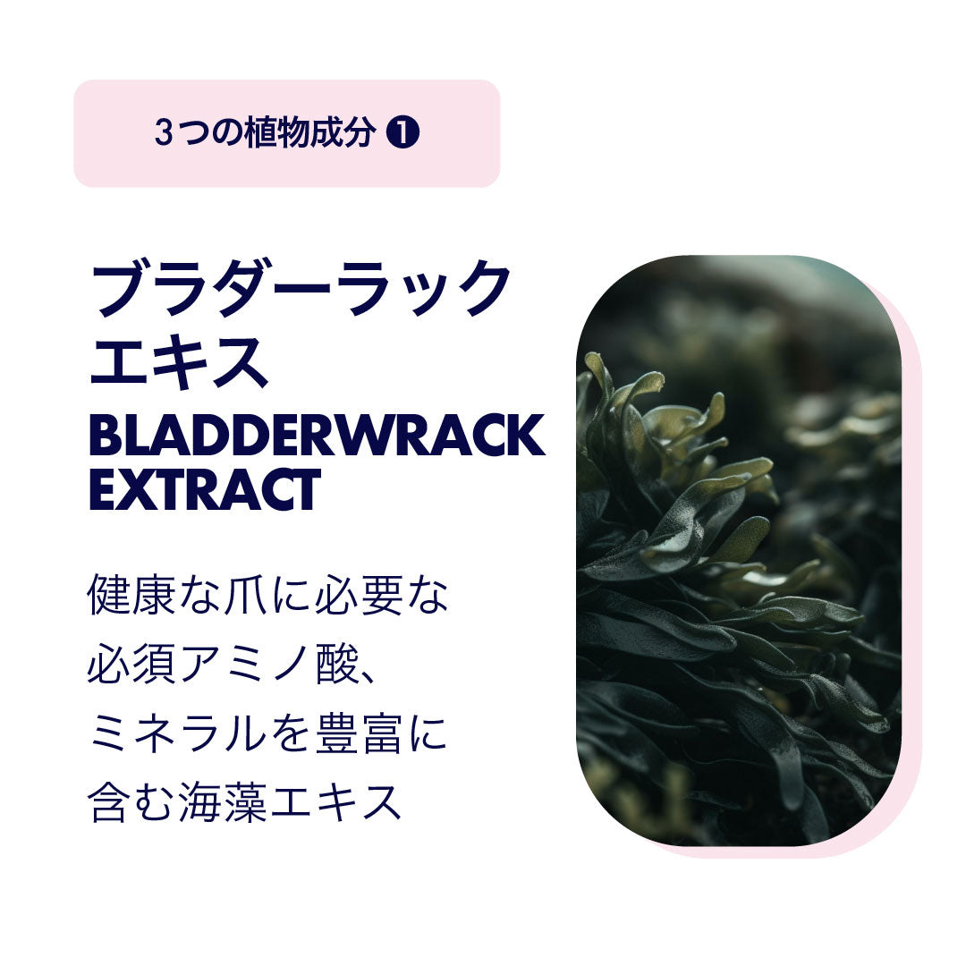 ネイルハードナー センシティブ